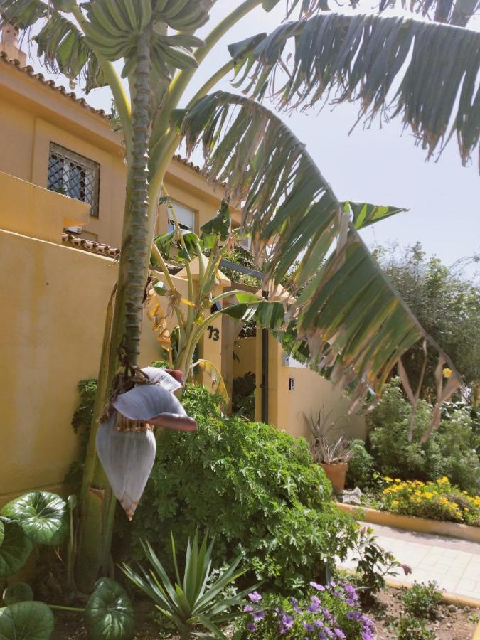 شقة Dudi'S Peppers مالقة المظهر الخارجي الصورة